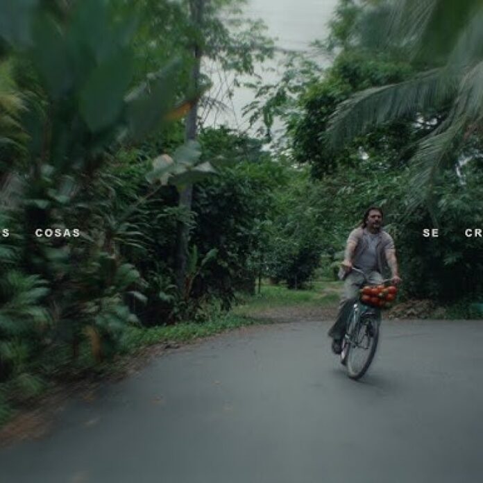 ntr_hq720_7766482738